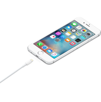 Apple Data Cable Lightning to USB 1m