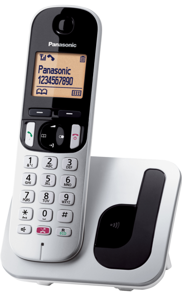 Panasonic Dect KX-TGC250GR Silver