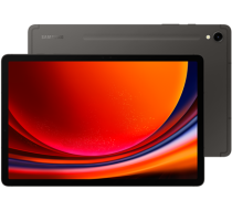 Samsung Galaxy Tab S9 WiFi 256GB Graphite