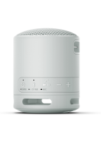Sony Bluetooth Speaker SRS-XB100 Light Grey