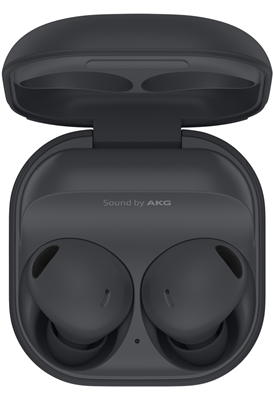 Samsung Galaxy Buds2 Pro Graphite