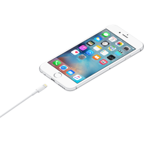 Apple Data Cable Lightning to USB Cable 1m New