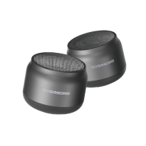 Riversong Bluetooth Speaker Jazz L8 Gray