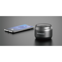 Riversong Bluetooth Speaker Jazz L8 Gray
