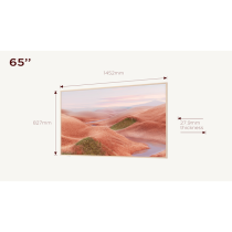 TCL 65A300W NXTVISION QLED TV with Google TV and Private art museum gallery (2024)