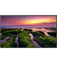 Samsung 50″ QBB Quantum Processor 4K Signage