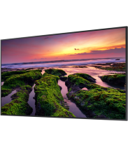 Samsung 50" QBB Quantum Processor 4K Signage