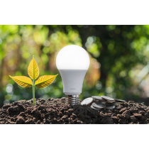 Xiaomi Smart LED Bulb White and Color