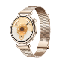 Huawei Watch GT 6 41mm Gold Milanese