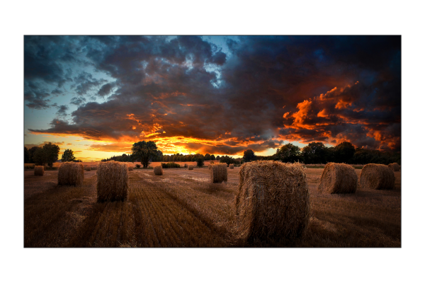 Samsung VM55B-U Ultra Narrow Bezel 55" LCD Video Wall for Business