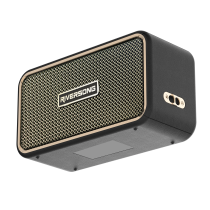 Riversong Jazz L21 150w Wireless Speaker Black