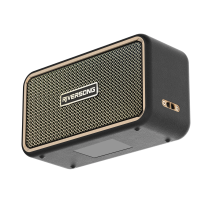 Riversong Jazz L20 100w Wireless Speaker Black