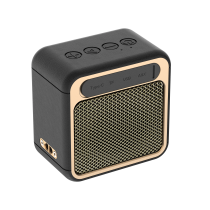 Riversong Jazz L19 15w Wireless Speaker Black